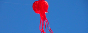 Pink Squid Kite, Credit: YouTube