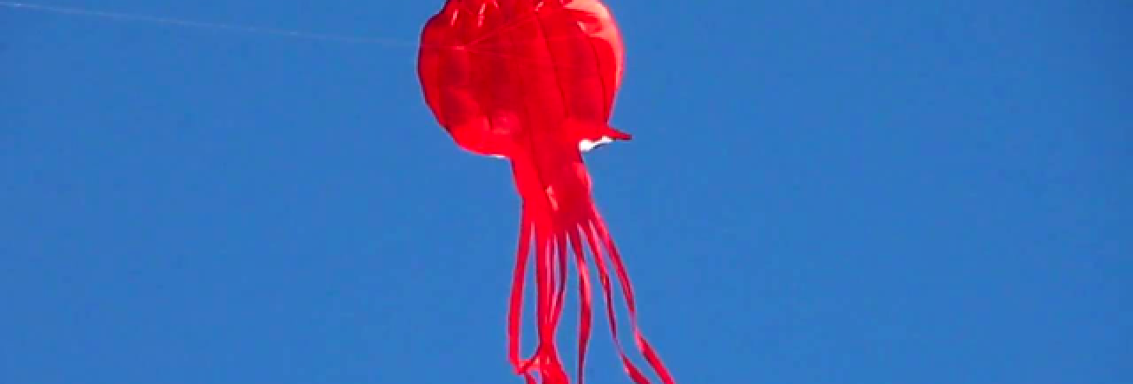 Pink Squid Kite, Credit: YouTube